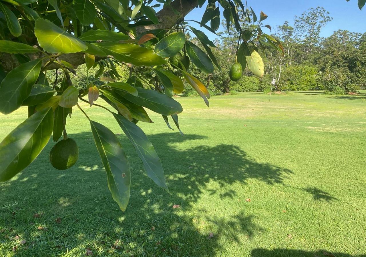 Sunshine Coast Retreat Your Own Private Golf Course Diddillibah Bagian luar foto