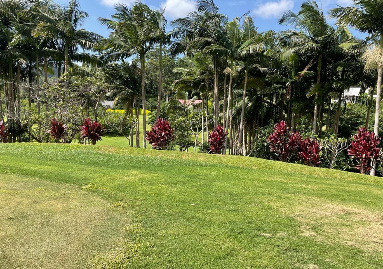 Sunshine Coast Retreat Your Own Private Golf Course Diddillibah Bagian luar foto