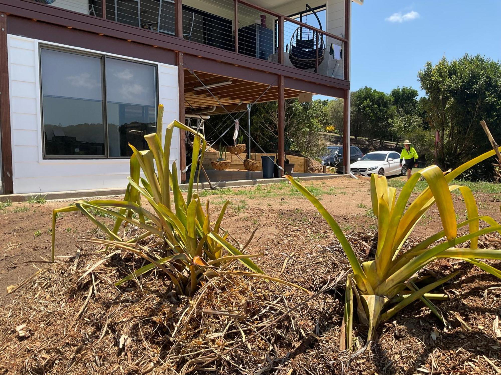 Sunshine Coast Retreat Your Own Private Golf Course Diddillibah Bagian luar foto